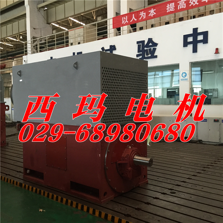 【JS1410-8 560KW 380V】西瑪中型電機維修保養(yǎng)