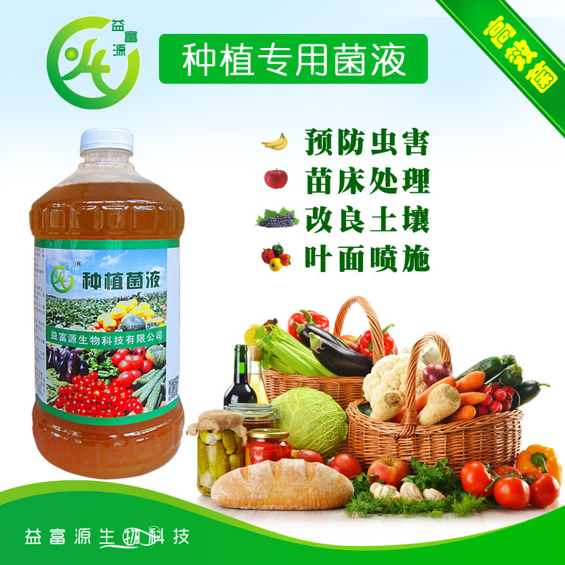 油麥菜栽培技術(shù)要點 大棚蔬菜種植增產(chǎn)方法