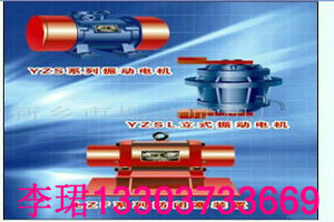 yzu-75-4振動(dòng)電機(jī)