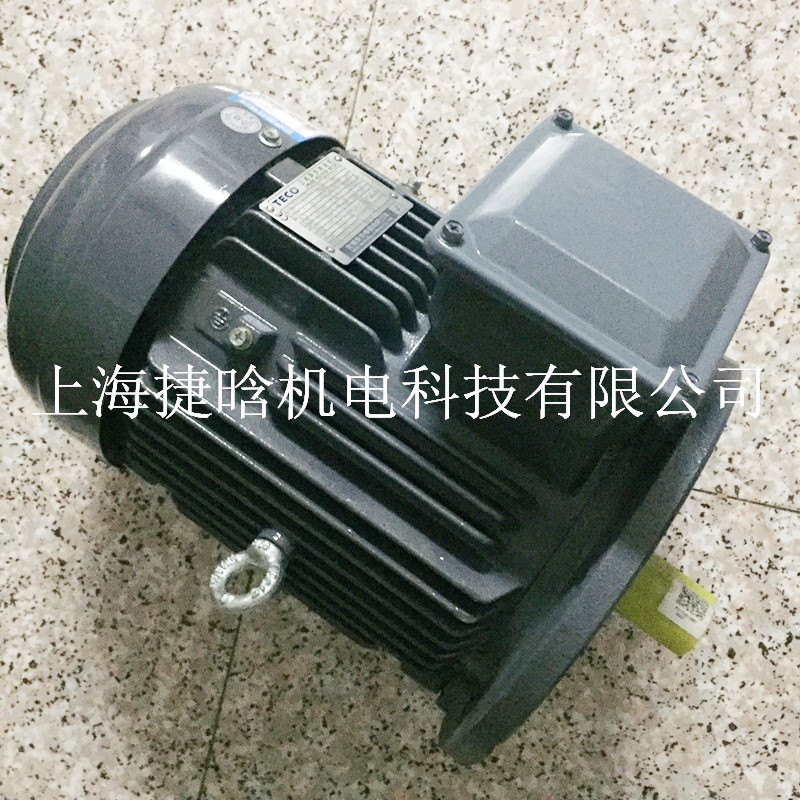 現(xiàn)貨東元高效能電機(jī) 立式AEVF 3.7KW 5HP三相異步電動機(jī)