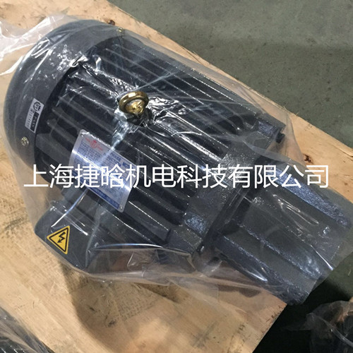 直銷C03-43B0群策S.Y群力2.2KW電機上海銷售