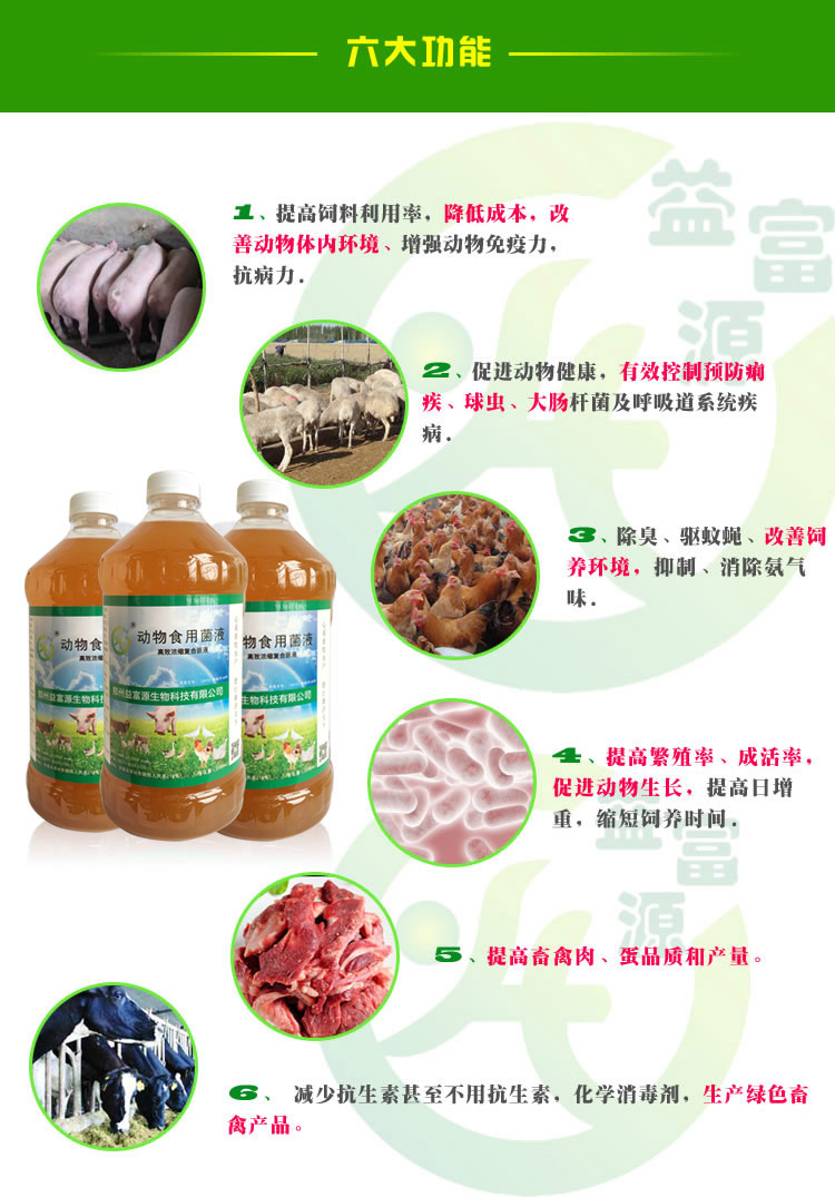 鴨舍氨氣濃重用什么飼料發(fā)酵劑拌飼料可以減少臭味河南山東安徽湖北