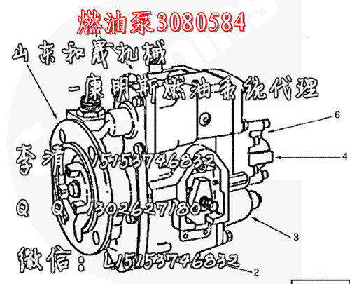 ׿˹TR60ȼͱ3080584˹KTA38͙C