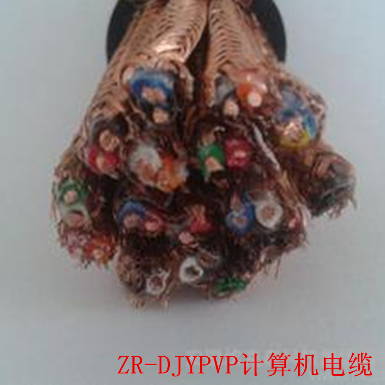 DJYPV分屏蔽電纜,計算機電纜DJYPV