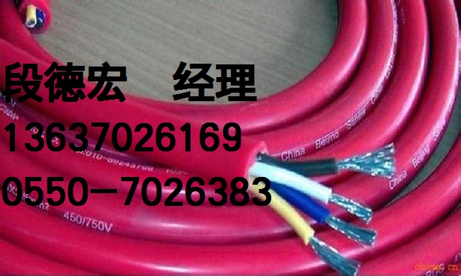 硅橡膠電纜DJGP1GP1*2*1.0 國(guó)標(biāo)產(chǎn)品/拒絕假貨