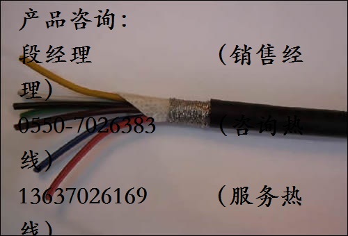 ZR-DJFFRP 阻燃耐高溫耐磨屏蔽高溫電纜