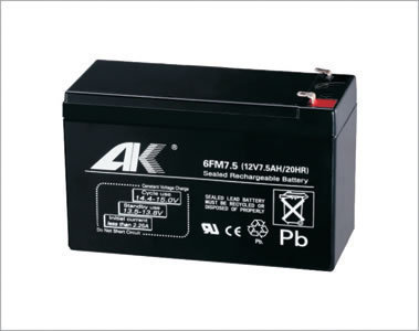 ups電池AK奧克萊牌6GFM38