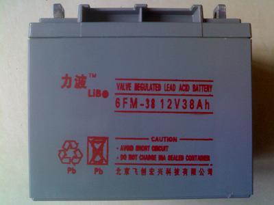 ups電池LIBO牌6FM-38