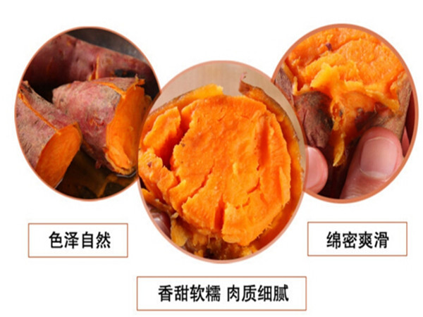 【推薦一款關(guān)于地瓜的產(chǎn)品】食品蒸房蒸煮的紅薯會(huì)更香甜粘軟好吃小建議