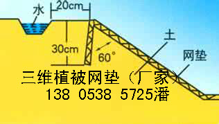 三維網(wǎng)墊{預(yù)定銷售}河南許昌￥潘138 0538 5725歡迎您