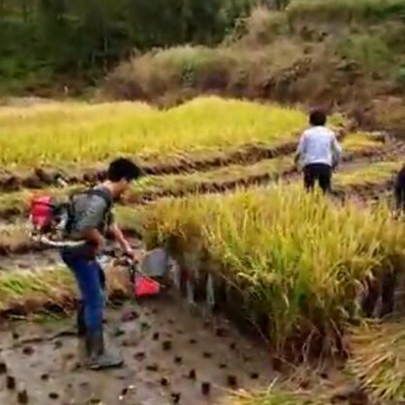 廠家直銷 水稻收割機  四沖程收割機