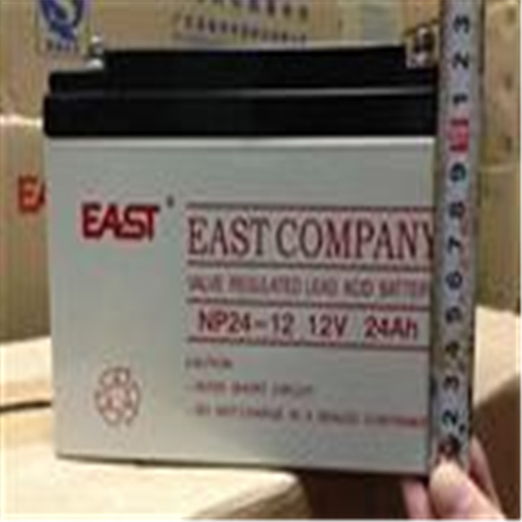 EAST易事特蓄電池NP100-12 12V100AH易事特蓄電池