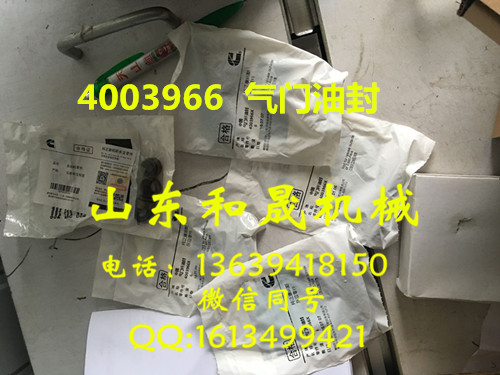 康明斯QSM11發(fā)動(dòng)機(jī)專用氣門(mén)油封 4003966 代理直銷(xiāo)