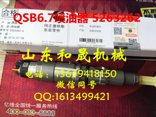 5263262/0445120231 康明斯QSB6.7專用噴油器