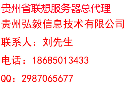 貴陽(yáng)聯(lián)想TS250服務(wù)器代理商報(bào)價(jià)，貴陽(yáng)Thinkserver專賣