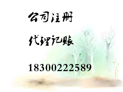 青島代理記賬，工商注冊(cè)，納稅申報(bào)等會(huì)計(jì)服務(wù)