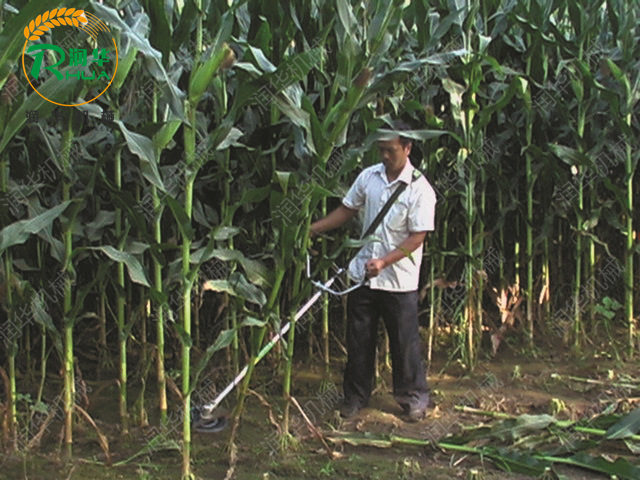 秸稈割草機(jī) 汽油秸稈割草機(jī)價(jià)格