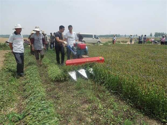 灌木收割機 三角地用割曬機 梯田用割曬機