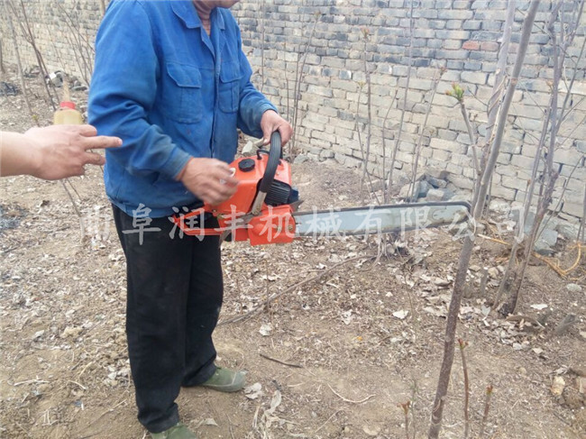 便攜式野外工作用挖樹機 帶土球挖樹機 挖樹機的重量與尺寸