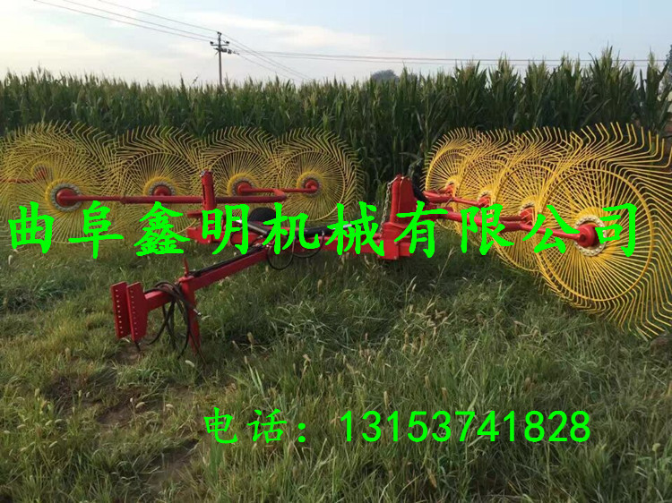 供應(yīng)高效率秸稈摟草機(jī)型號 小型摟草機(jī) 指盤式摟草機(jī)鑫明制造