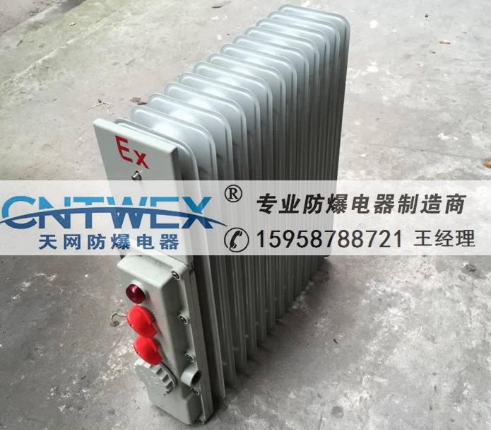 BDR工業(yè)防爆電熱油汀取暖器2000W 2KW 2500W 3KW