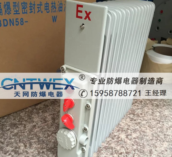 BYT-2500W13片防爆電熱油汀 BYT-13防爆電熱油汀功率