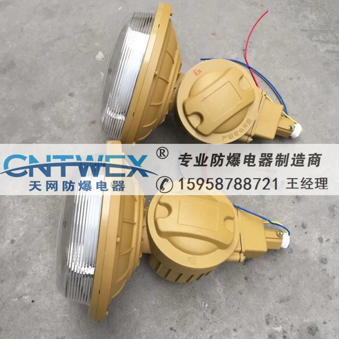 SBD1102-YQL40B吸頂式免維護(hù)防爆無極燈40W/220V