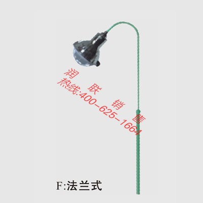 廊坊BCM-BCd250AI防爆馬路燈|