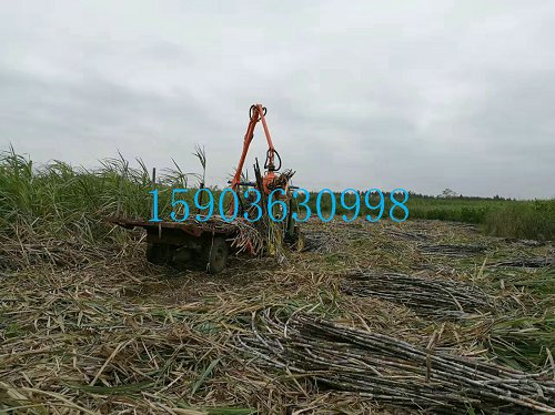 天水市木材秸稈堆垛喂料機河南鄭州有賣哪個牌子好