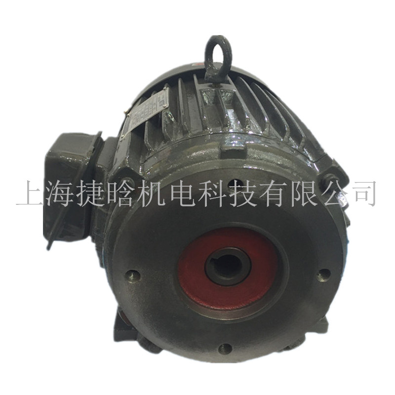 YTY180L-4-22KW高效液壓專用內(nèi)軸油泵電機