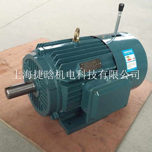 YEJ200L-4 30KW三相電磁異步電動(dòng)機(jī) 全銅國標(biāo)電機(jī)