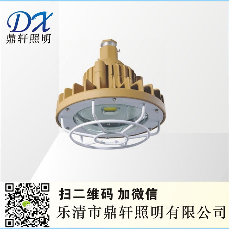 溫州廠家BD05系列防爆高效節(jié)能LED燈( Ⅱ C)