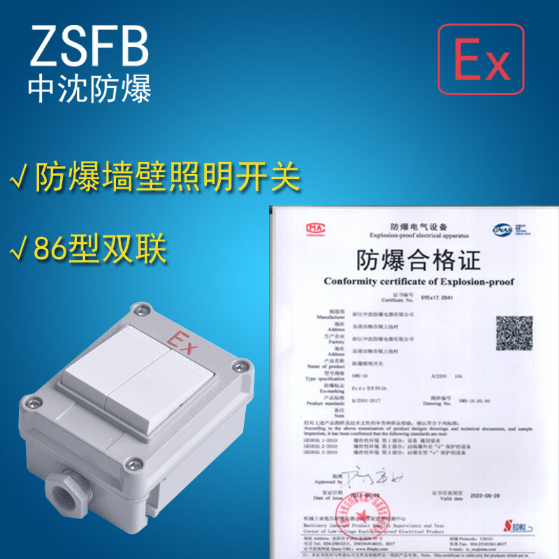 防爆墻壁照明開關(guān)SWB-10A/220V  86型開關(guān)暗裝開關(guān)雙聯(lián)二開