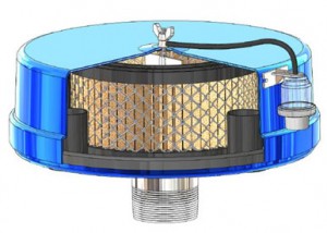 Stoddardinc^V  F64ϵM^V