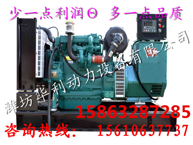 濰柴濰坊50KW有刷柴油發(fā)電機(jī)組無刷全自交流發(fā)電機(jī)工業(yè)養(yǎng)殖應(yīng)用