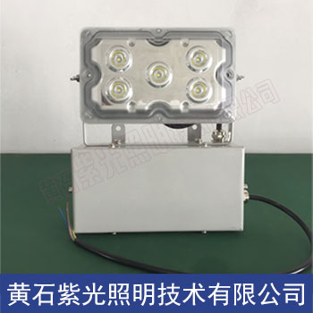 NFE9178固態(tài)長(zhǎng)壽型免維護(hù)應(yīng)急燈廠家