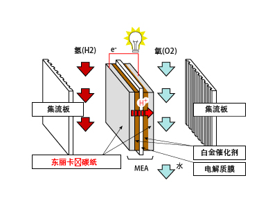 東麗 碳布