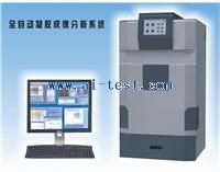 中國全自動凝膠成像分析系統(tǒng)
