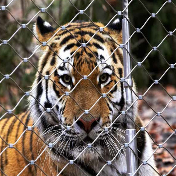 供應動物籠舍繩網_鋼絲繩編織網實體工廠