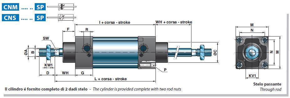 GENERAL FLUIDI齒輪泵-CNM 032 0250 A4 KK型號(hào)