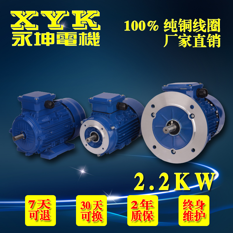 直銷臺灣永坤正品三相異步電動(dòng)機(jī) YX300L1-4立式4極2.2KW鋁殼電動(dòng)