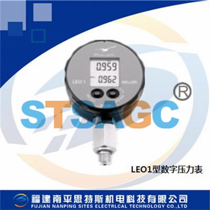 數字壓力測量儀表LEO1型數字壓力表