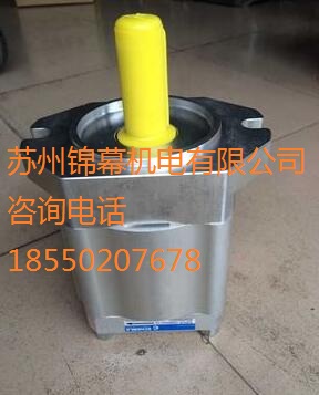 EIPH2-025RK00-1X德國ECKERLE艾可勒齒輪泵，傳感器的設(shè)計(jì)