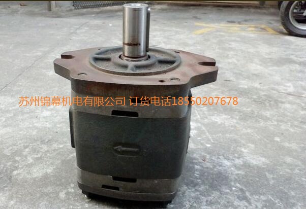 IPVP6-100-101德國VOITH 福伊特齒輪泵，Sensors振動傳感器