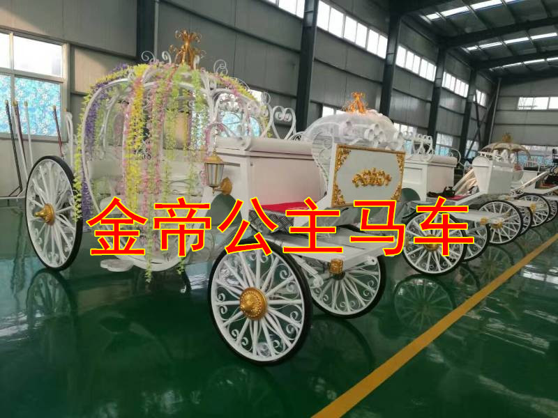 湘西州哪里有賣馬車的