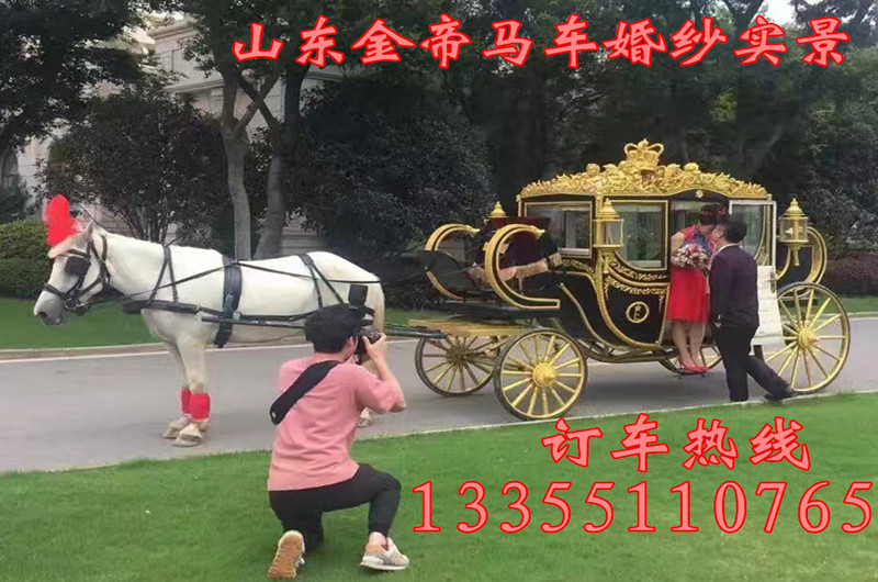 常德哪里定做馬車旅游觀光馬車