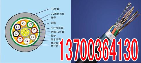 山東機(jī)場通信電纜HYA23制造廠