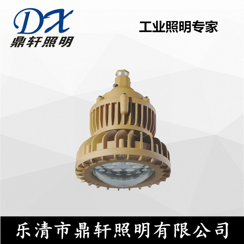 溫州廠家ZBD102-I LED免維護(hù)防爆泛光燈ZBD102-I