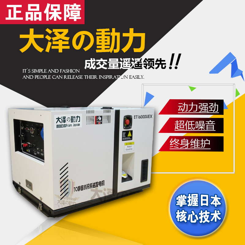 大澤動力水冷12kw柴油發(fā)電機(jī)