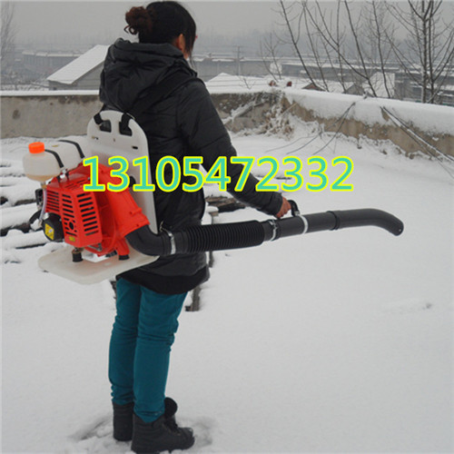 背負(fù)式吹風(fēng)機(jī) 小型路面清理機(jī) 汽油吹雪機(jī)